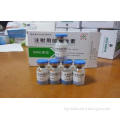 Human Chorionic Gonadotropin for injection , HCG loss weigh